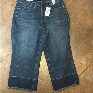 Judy Blue Blue Cropped Wide Leg Jeans